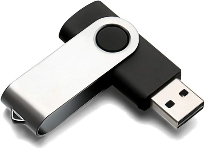 USB Flash Drive 256MB 50 Pack, Bulk USB 2.0 Thumb Drives Swivel Memory Stick Jump Drive Pen Drive,256MB 50 Pieces