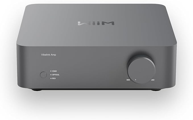 WiiM Vibelink Amp | 100W Power Amplifier with Premium ESS 9039Q2M DAC and TI TPA3255 | Compatible with WiiM Mini, Pro, Pro Plus, and Ultra | RCA, Coax, and Optical Inputs | Space Gray