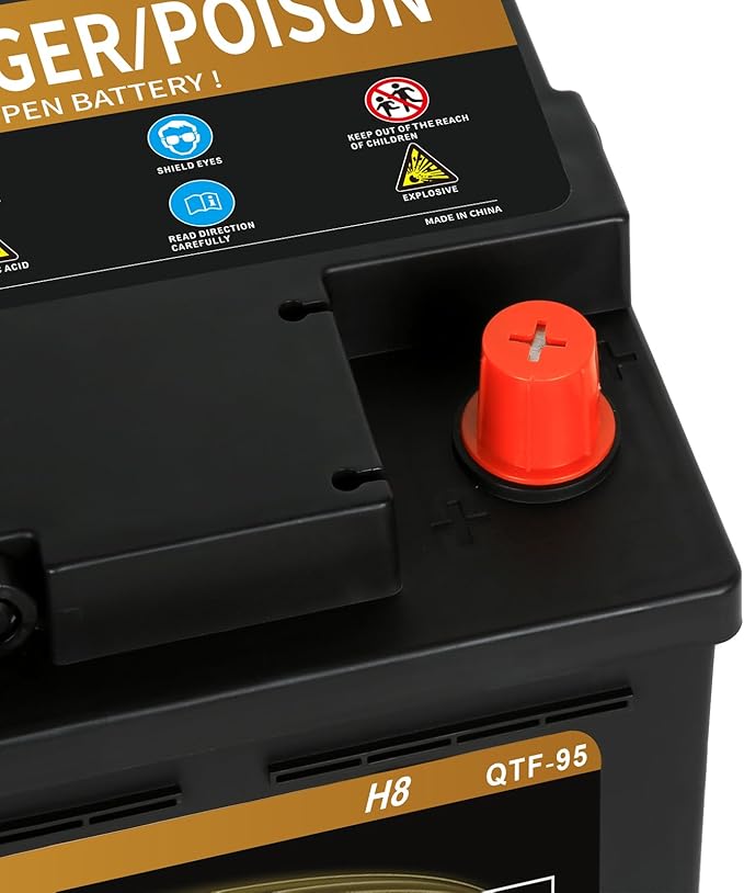 Weize Platinum AGM Battery BCI Group 49-12v 95ah H8 Size 49 Automotive Battery, 160RC, 900CCA, 36 Months Warranty, Dimensions 13.9" L x 6.89" W x 7.48" H
