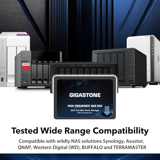 Gigastone 1TB NAS SSD Drive (6-Pack) 24/7 Durable TLC High Endurance RAID Data Storage Network Attached Storage 2.5" SATA Internal Solid State Hard Drives