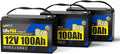 12V 100Ah LiFePO4 Lithium Battery, BCI Group 31,Deep Cycle Up to 15000 Cycles, 100A BMS, Low Temperature Protection, 10 Years Lifespan, Perfect for RV/Home Energy Storage 3 Packs