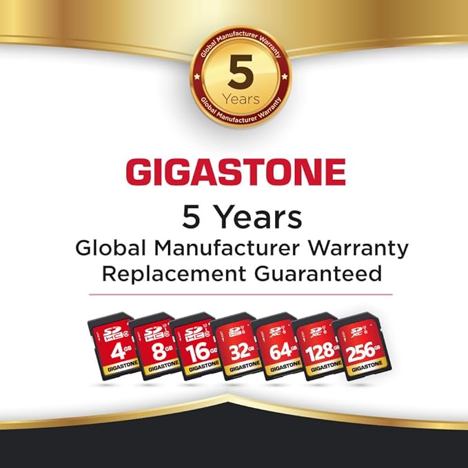 GIGASTONE 128GB SD Card 5-Pack UHS-I U1 Class 10 SDXC Memory Card Full HD Video for Canon Digital Camera, Full-Sized SD Card, with 5 mini case
