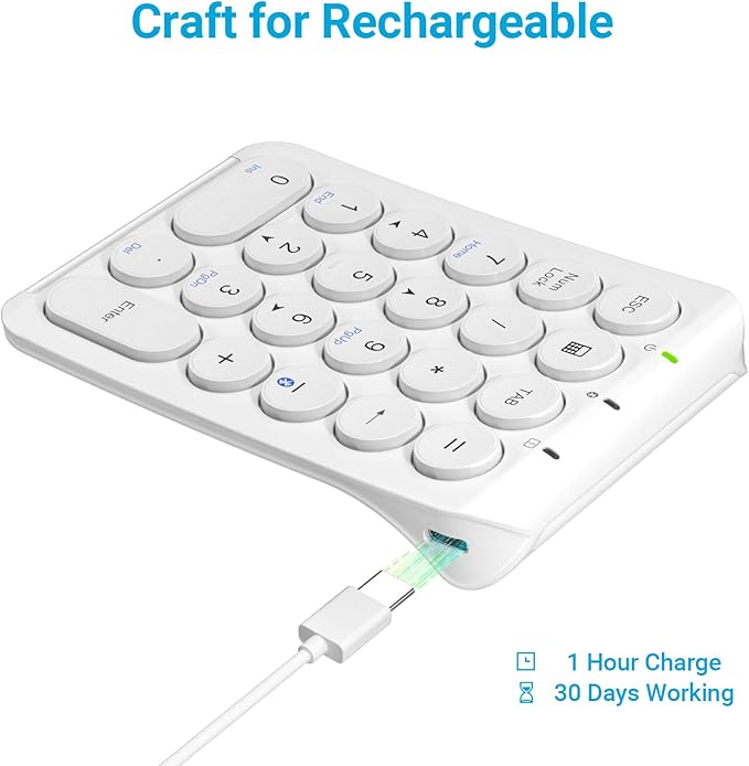 iClever Number Pad, KP08 Bluetooth Number Pad, Ultra Slim and Lightweight, USB-C Charge, Number Pad for Laptop, iPad, Mac, iMac, Tablet, PC Desktop