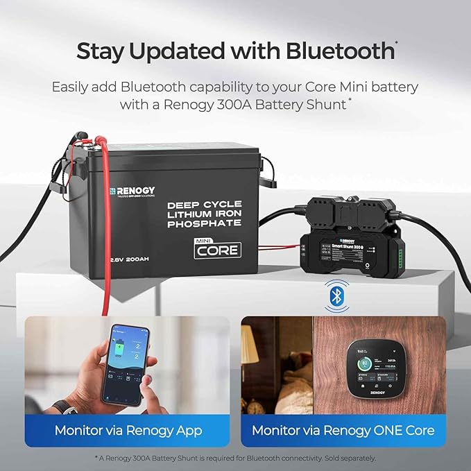 Renogy 12V 200Ah LiFePO4 Lithium Battery Mini Size, Up to 5000+ Deep Cycles, 200A Upgraded BMS, 380A Peak Discharge W/Low Temp Protection, Compact Size for RV, Marine, Solar, Trolling Motor Backpower