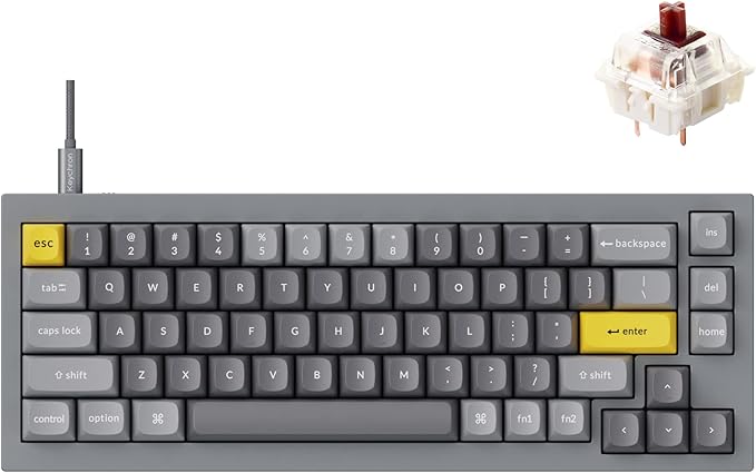 Keychron Q2 Wired Custom Mechanical Keyboard, QMK/VIA Programmable Macro, Full Aluminum, Hot-Swappable Gateron G Pro Brown Switch, 65% Layout Double Gasket Compatible with Mac and Windows - Grey