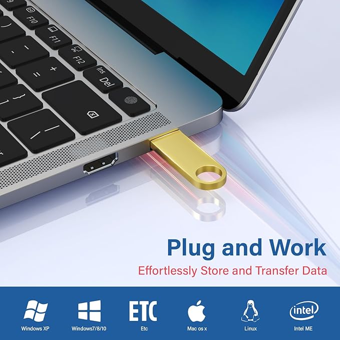 2GB USB Flash Drive 2 Pack with Keychains, Wooolken Sleek Metal USB 2.0 Thumb Drives Memory Stick for PC Laptop Computer