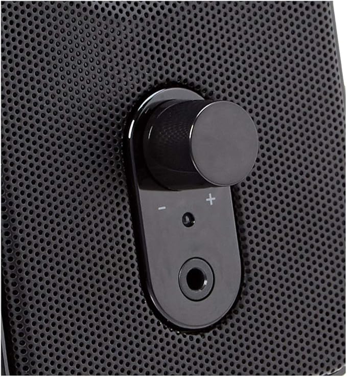 Amazon Basics Computer Speakers for Desktop or Laptop PC, AC-Powered (US Version), Black