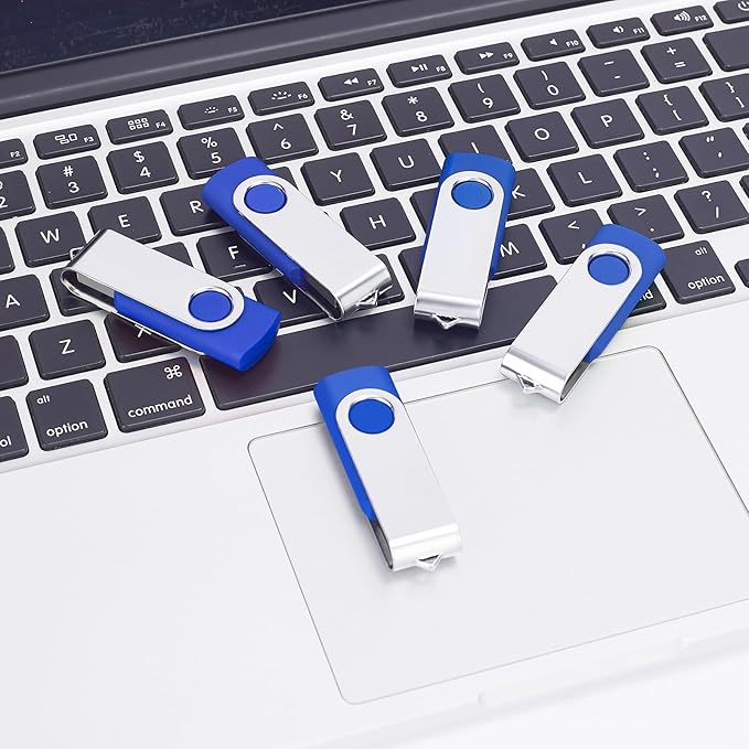 EASTBULL 200 Packs of 2GB Bulk Flash Drives, USB Flash Drives Pack 2GB USB Drives Bulk Swivel USB2.0 Thumb Drives Bulk with Strings (200Packs, Blue)