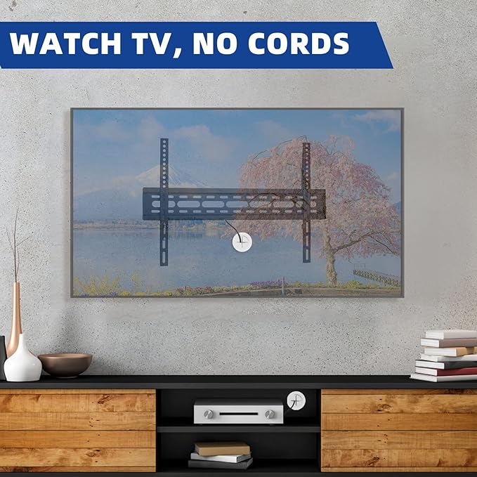 TV Wire Hider Kit for Wall Mount TV, White in Wall Cable Management Kit, Includes 2 Pass Throughs and Hole Saw Drill Attachment for Easy Install(Black) (RO-YCX-2P-BK)