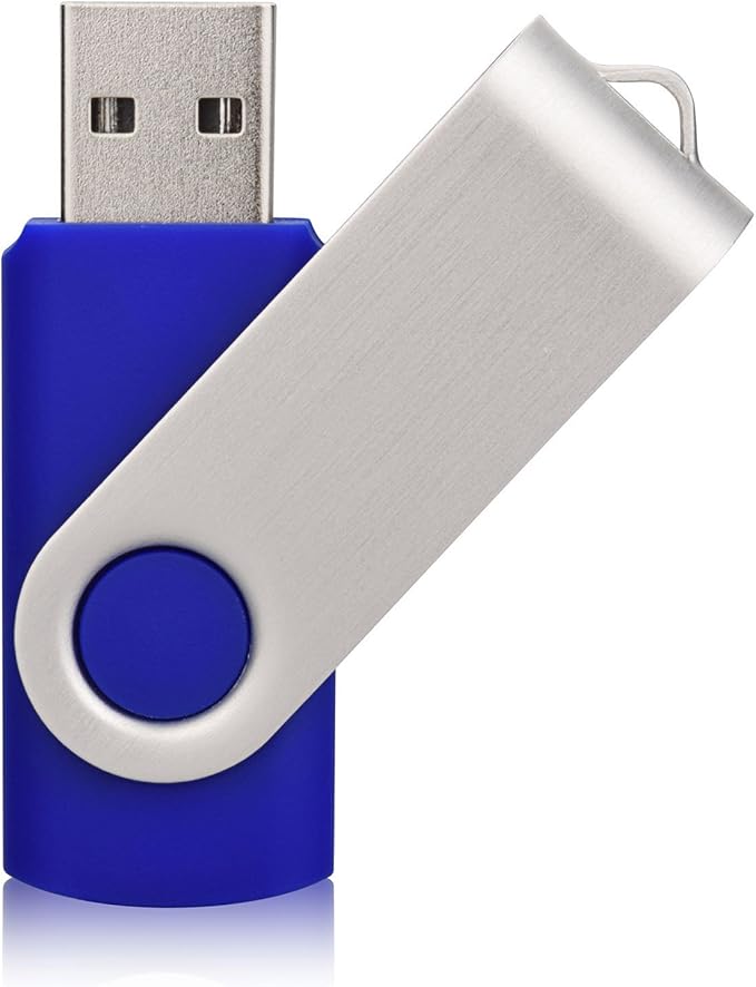 Aiibe 10 Pack 128GB Flash Drive USB Drive Thumb Drives USB 2.0 Memory Stick Jump Drives 128GB USB Flash Drive Bulk (10 Mixed Colors: Black Blue Red Green Orange White Yellow Pink Purple Silver)