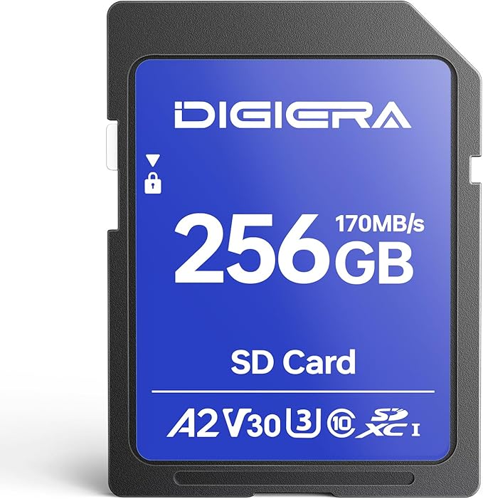 256GB LS100 SDXC UHS-I Memory Card - up to 170MB/s, C10, U3, V30, 4K UHD, SD Card for Computers, Digital Cameras, Home Theatre Devices, Car Navigation Systems (1 Pack)