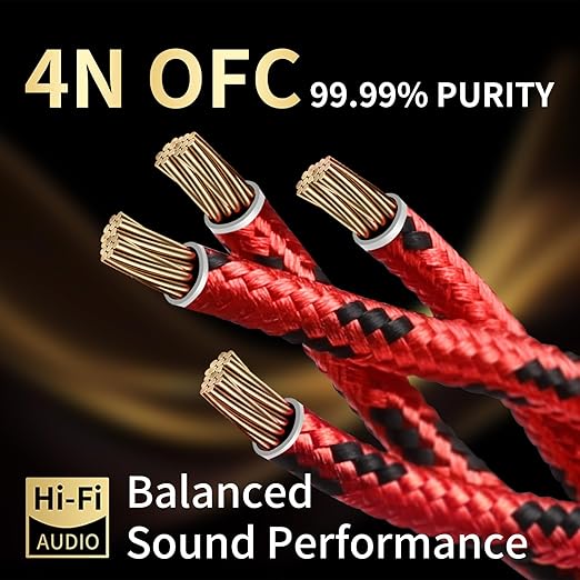 12 AWG Audiophile HiFi Speaker Audio Cable–4N OFC Core,24K Gold-Plated Banana Plugs with Nylon Braid,Compatible with Amplifier,Speakers,AV Receiver & Home Theater(9.84ft/3m) 2-Pack