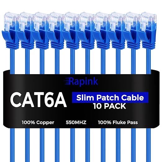 Rapink Cat6a 2ft Ethernet Patch Cables (10 Pack), Slim, Flexible, 10G Support, Gold Plated, Cat6a Ethernet Cable for Patch Panel to Switch, Space Saving, High Density Environments