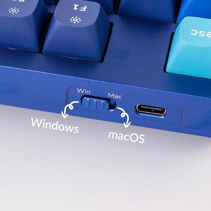 Keychron Q3 RGB Tenkeyless Layout QMK/VIA Programmable Macro Hot-swappable Wired Custom Mechanical Keyboard with Gateron G Pro Blue Switch Double Gasket Compatible with Mac Windows Linux (Blue)
